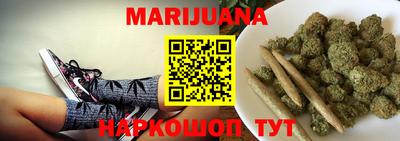 сатива Аргун