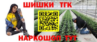 сатива Аргун