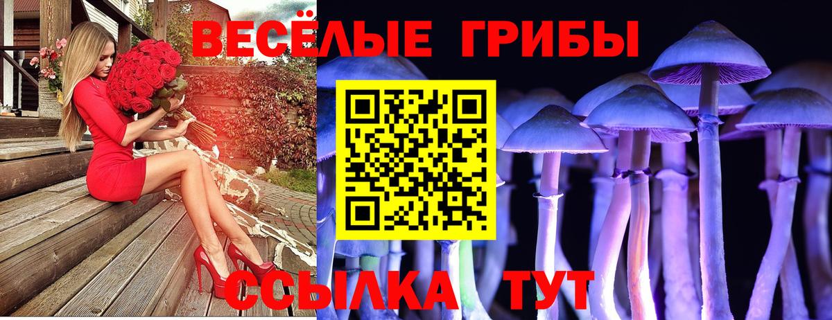 Псилоцибиновые грибы Magic Shrooms Воронеж